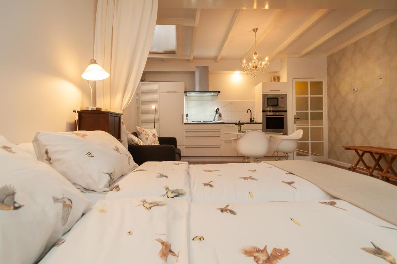 Casasdecasper - Studio Alkmaar Luaran gambar